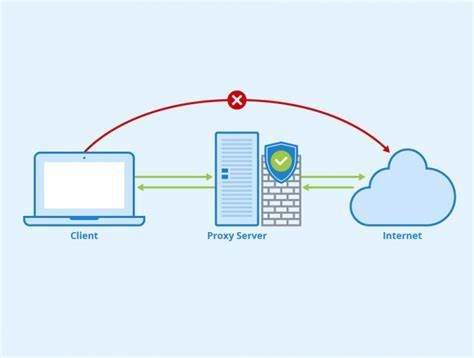 the working diagram of proxy server